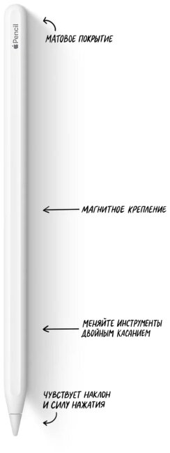 Apple Pencil (2nd Generation)