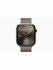 Apple Watch Series 10 46mm  Titanium 