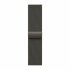 Apple Watch Series 10 46mm  Titanium 