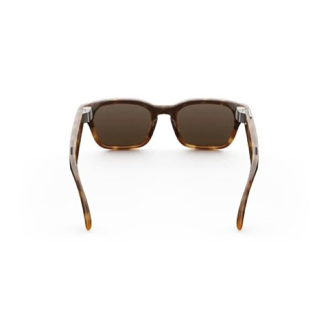 RayBan Adventurer Classic Tortoise Brown Standart